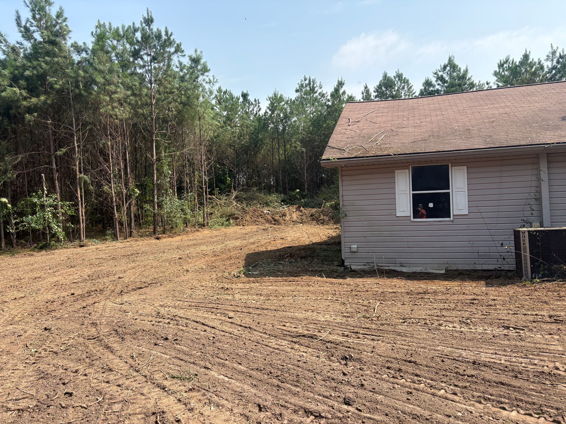 Gallery photos for Overgrown Property Cleared Down to Clean, Usable Ground: Image #4