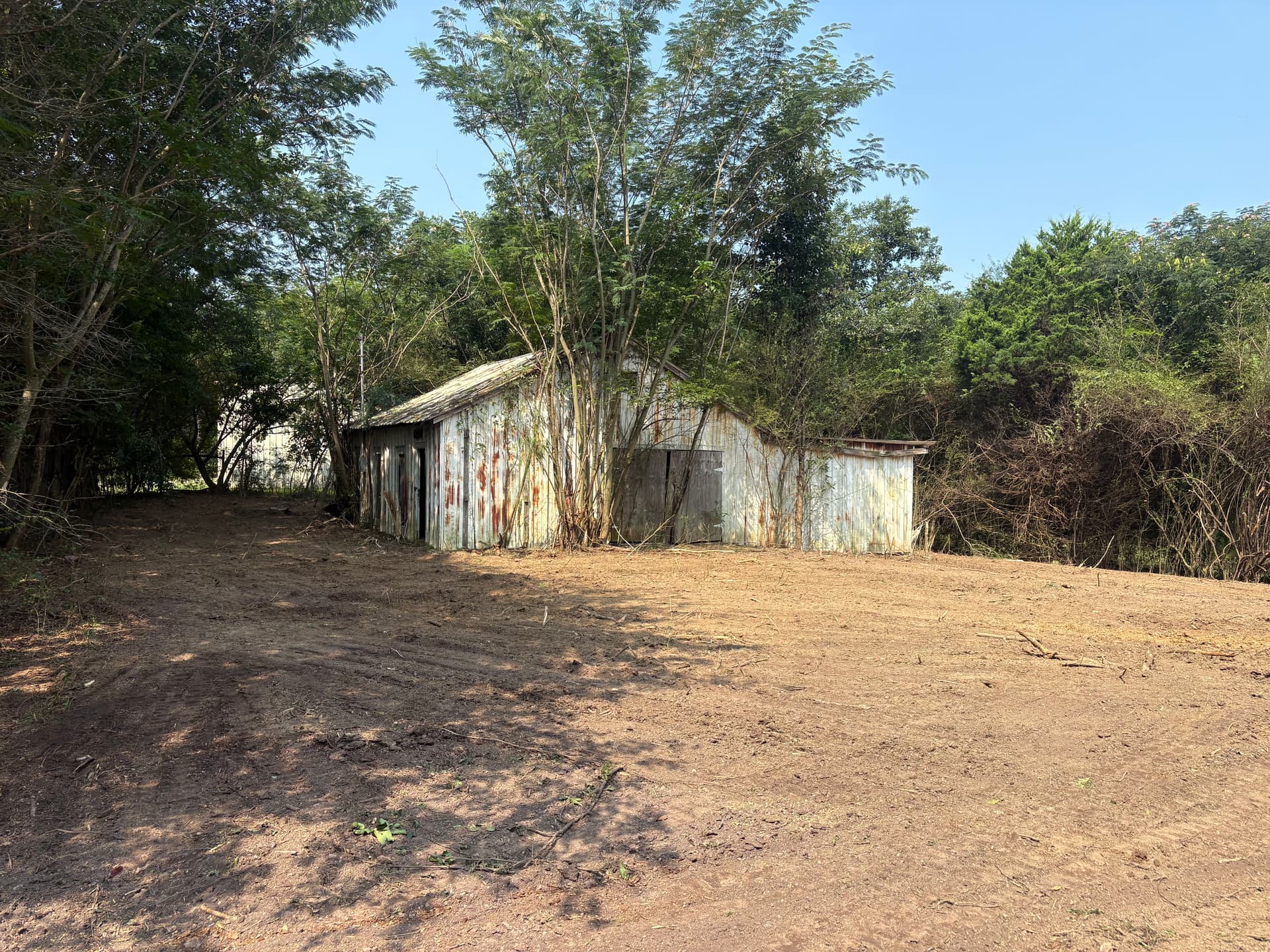 Gallery photos for Overgrown Property Cleared Down to Clean, Usable Ground: Image #3
