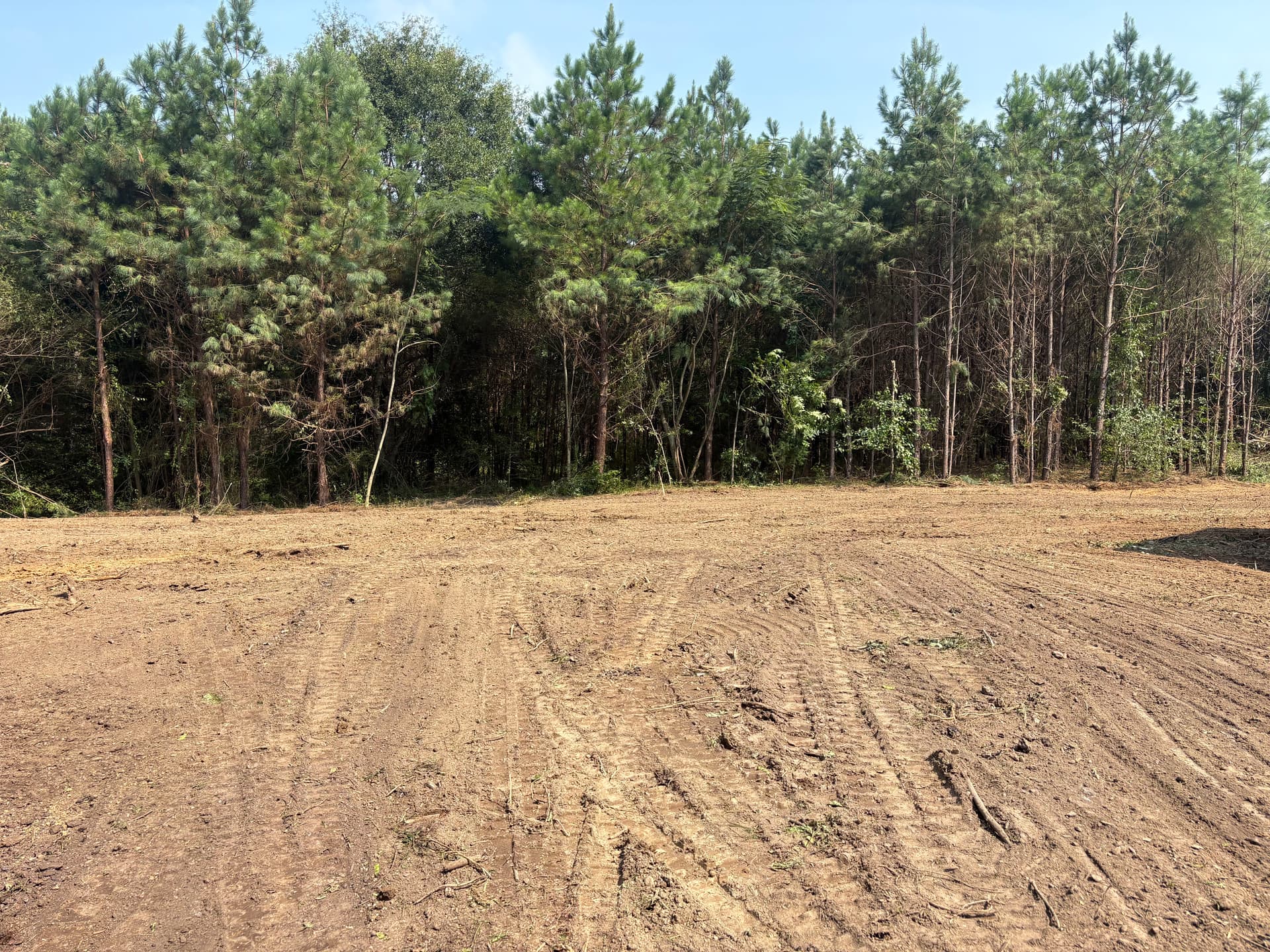 Gallery photos for Overgrown Property Cleared Down to Clean, Usable Ground: Image #5